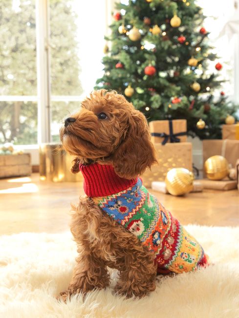 Christmas jumper with dogs on sale