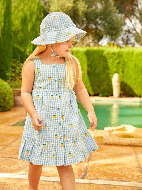 Duck Egg Gingham Lemon Embroidered Frill Dress