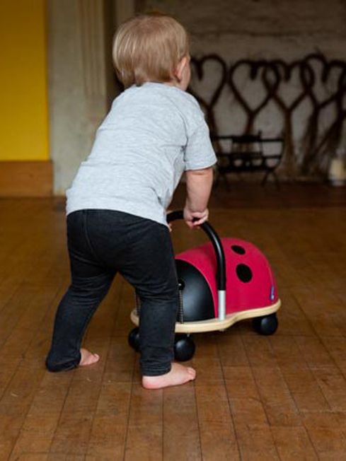 Wheely bug ladybug shop small