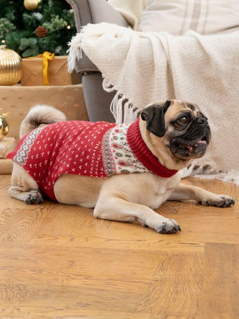 Reindeer dog jumper sales