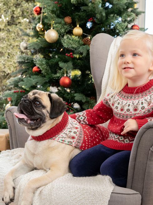 Pug christmas family pajamas 2025