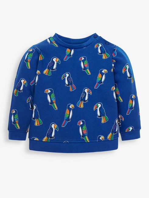 Parrot colour sweatshirt 2025
