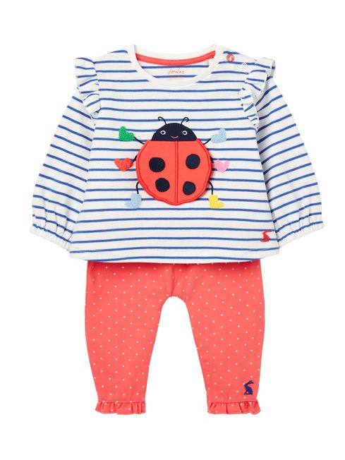 Joules baby tights shop