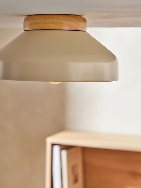 Albert flush clearance ceiling lamp