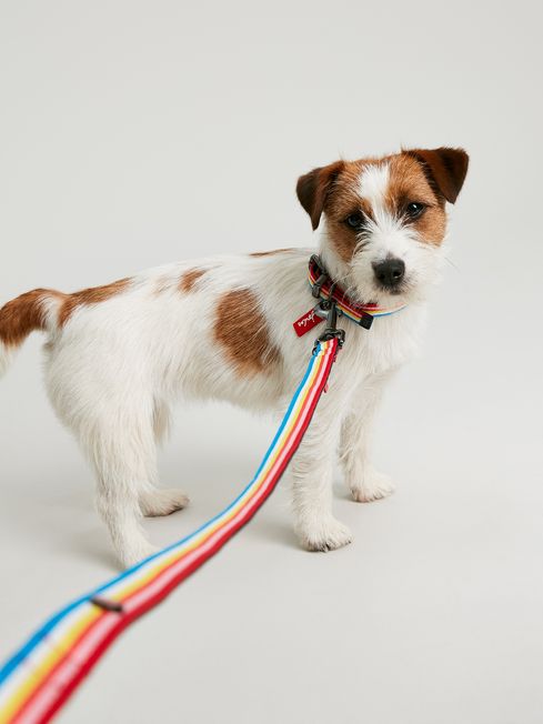 Joules dog lead top