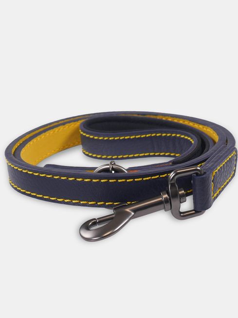 Navy Leather Pet Lead Joules