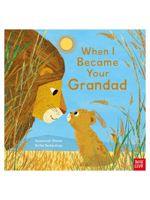 Nosy Crow Ltd When I Became Your Grandad Book