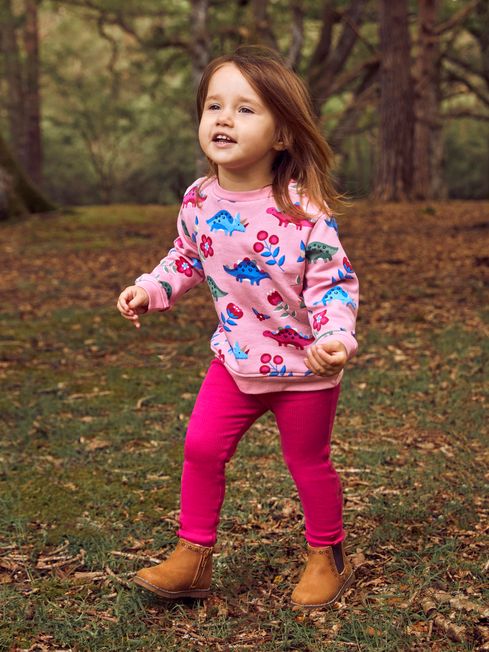 Jojo maman bebe dinosaur hoodie hot sale