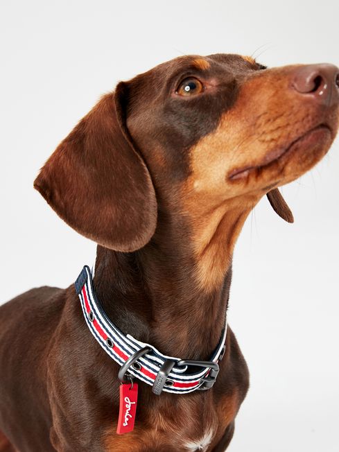 Joules deals dog collar
