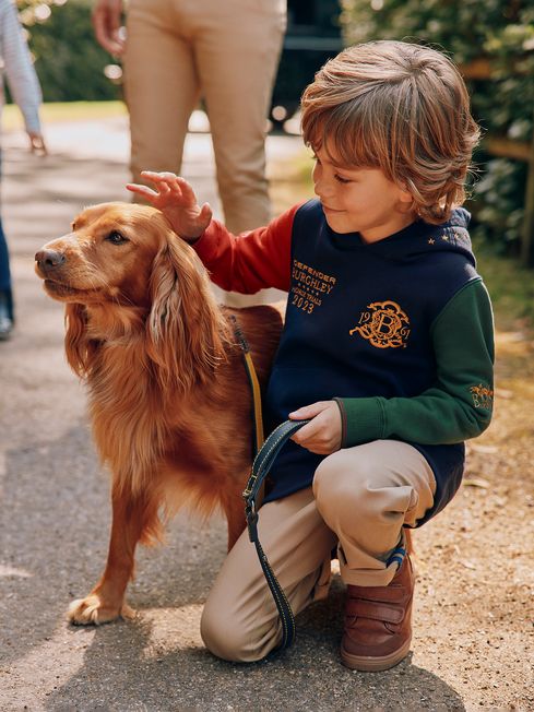 Joules golden retriever slippers best sale
