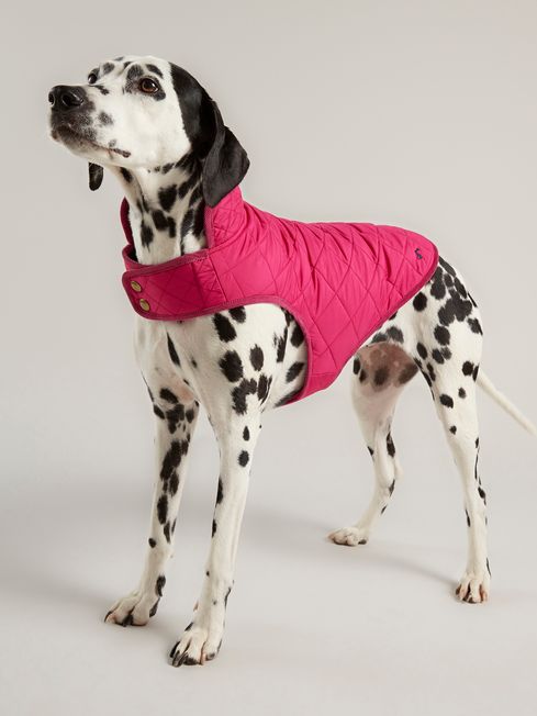 Raspberry pink coat 2025