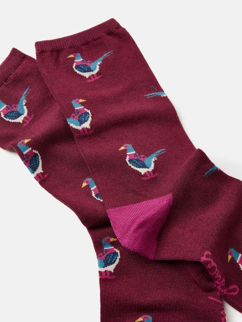 Excellent Everyday Purple Pheasant Ankle Socks Joules