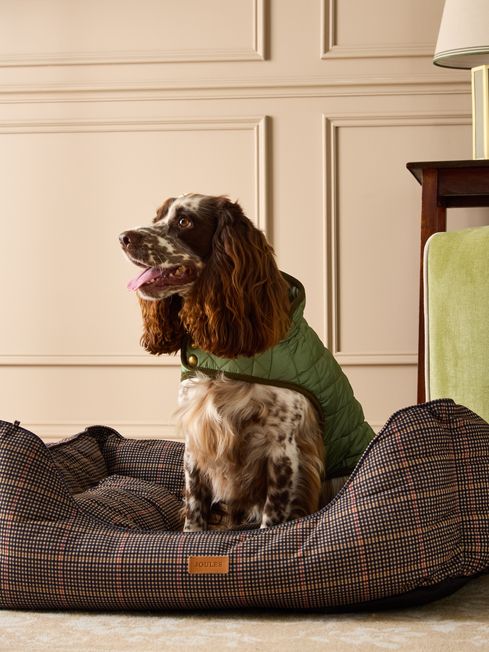 Joules dog bed pets at home shop