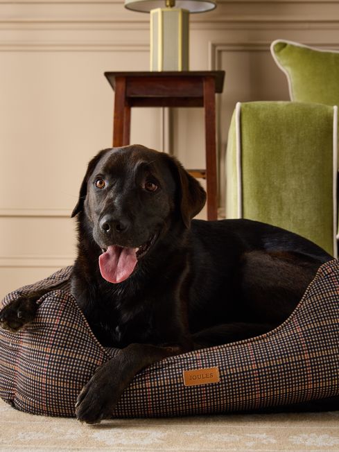 Joules labrador wellies clearance