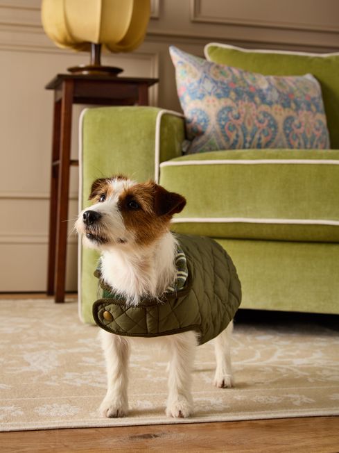 Joules pet coat clearance