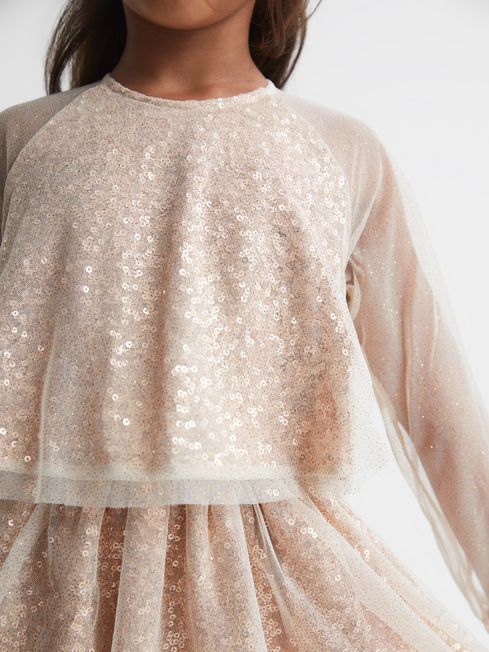 Sheer tutu deals dress