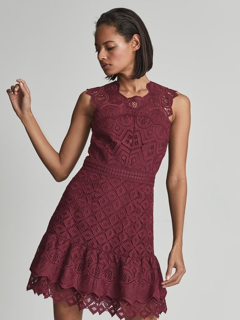 Reiss june lace sales dress