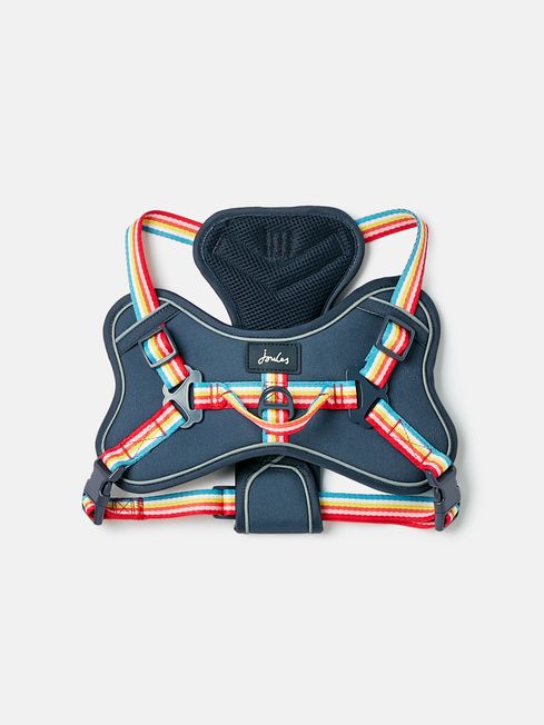 Blue Rainbow Adjustable Dog Harness Joules