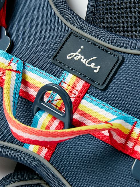 Joules Blue Rainbow Harness