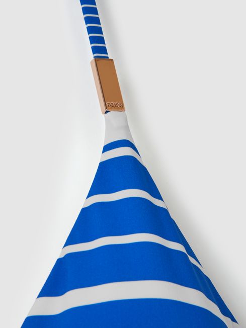 Striped Plunge Neck Swimsuit in Blue Stripe