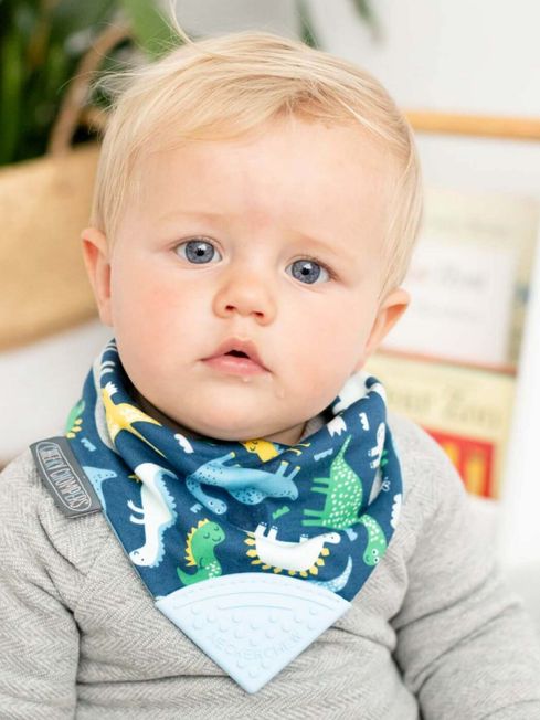 Cheeky discount chompers bibs