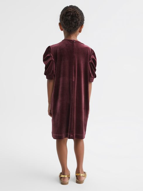 Velvet new arrivals dress next