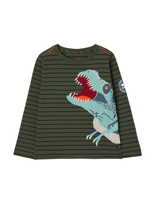 Joules boys hot sale shirts