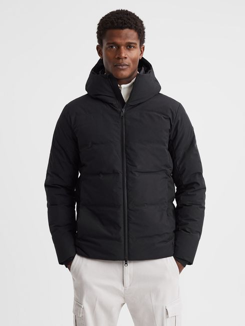 Scandinavian Edition Hooded Puffer Jacket
