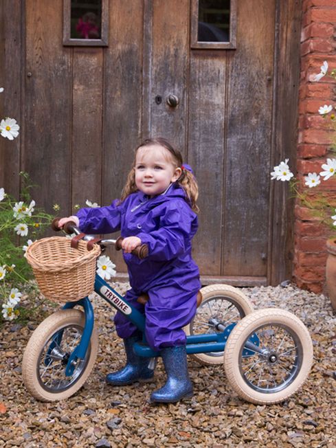 Trybike on sale vintage blue