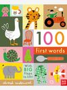 Nosy Crow Ltd 100 First Words Book