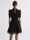 Leo Lin Lace Mini Dress