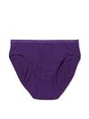 Victoria's Secret Purple Stretch Cotton High Leg Brief Knickers