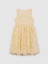 Reiss Lemon Daia Junior Fit-and-Flare Lace Dress