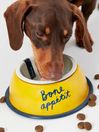 Joules Yellow Bone Appetite Stainless Steel Dog Bowl