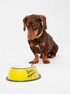 Joules Yellow Bone Appetite Stainless Steel Dog Bowl