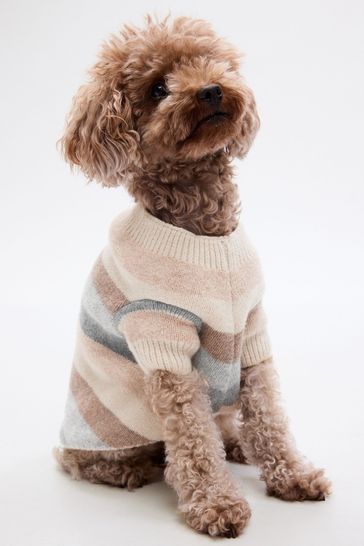Gap shop dog clothes