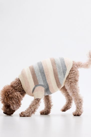 Gap shop dog sweater
