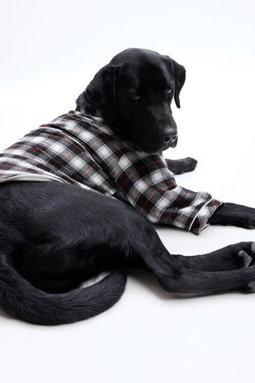 Gap dog clothes discount