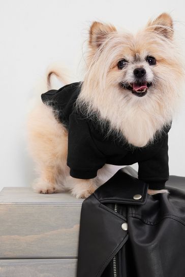 Gap hotsell dog sweater