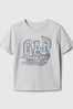 Grey Graphic Short Sleeve Crew Neck T-Shirt (Newborn-5yrs)