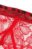 Victoria's Secret Lipstick Red Shine Strap Lace Suspenders