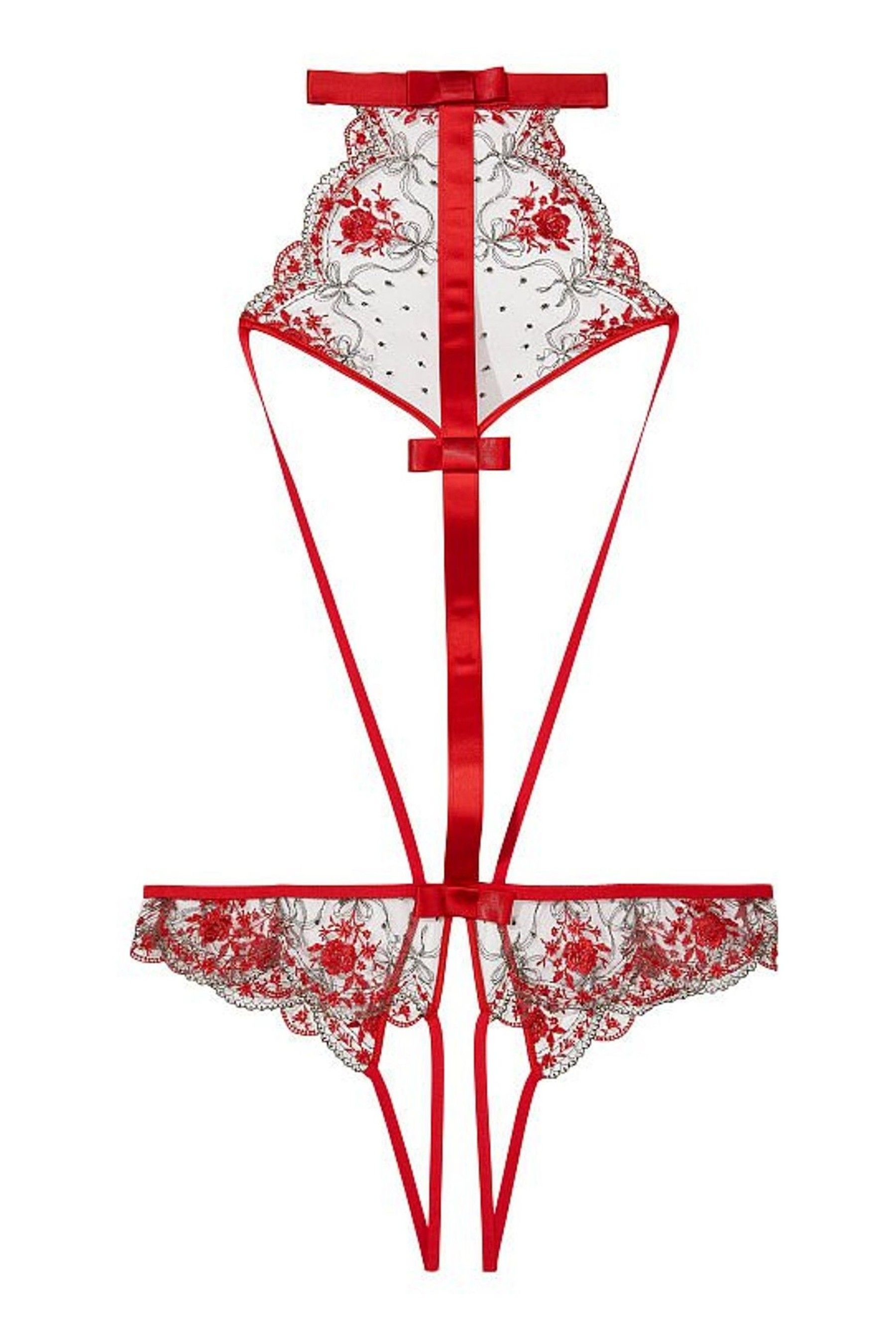 Victoria's Secret High Neck Embroidered Ouvert Bodysuit Victoria's