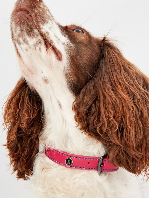 Joules Pink Adjustable Leather Dog Collar