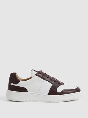 Low Top Leather Trainers in Bordeaux