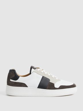 Low Top Leather Trainers in Mocha