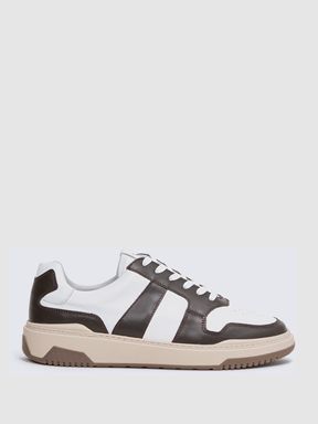 Low Top Leather Trainers in Brown