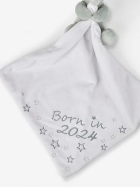 Personalised Born in 2024 Comforter in Grey