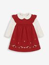 2-Piece Robin Baby Dress & Body Set