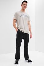 The gap on sale mens chinos