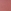 Maple Pumpkin